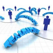 <b>SEO优化的发展经历了什么？</b>