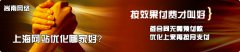 上海金山网站优化公司【金山SEO优化公司】